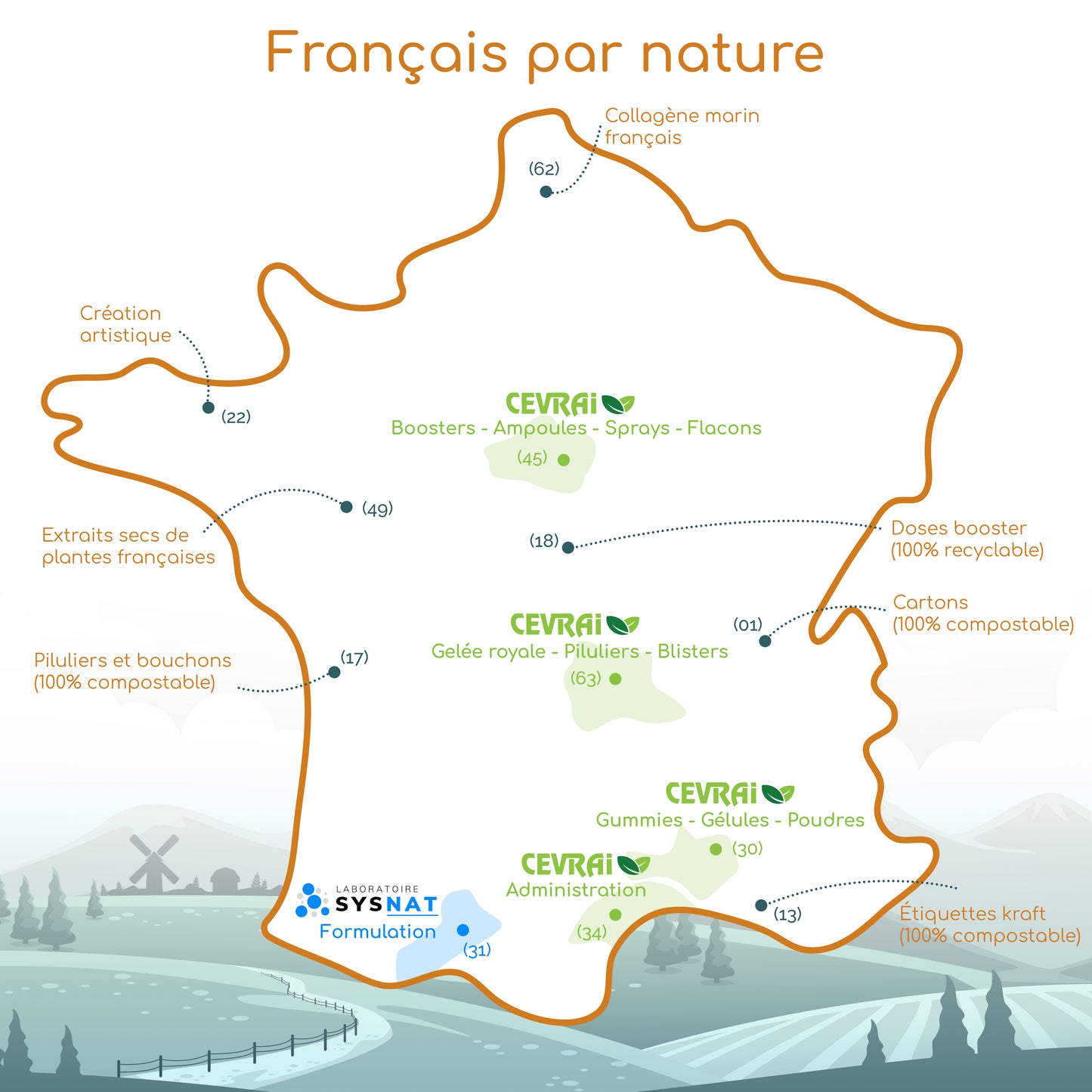 Multivitamines et minéraux