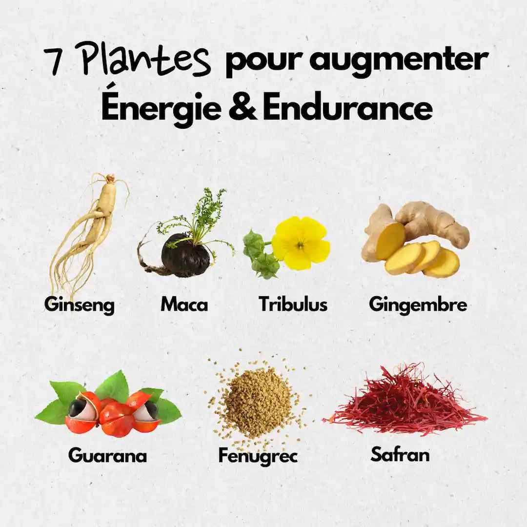 aphrodisiaque naturel effet immédiat